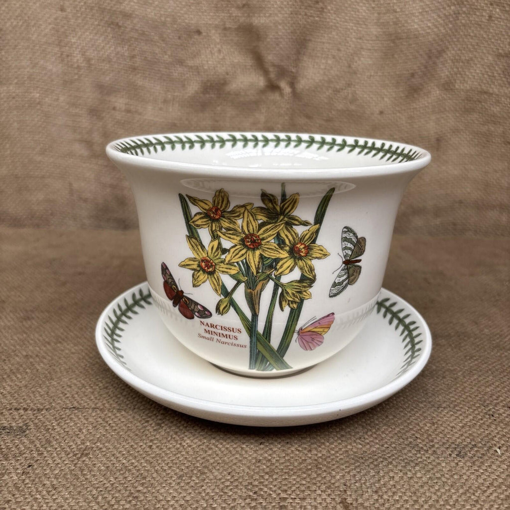 Portmeirion Plant Pot & Saucer Botanic Garden - Narcissus - Primula - Fushsia