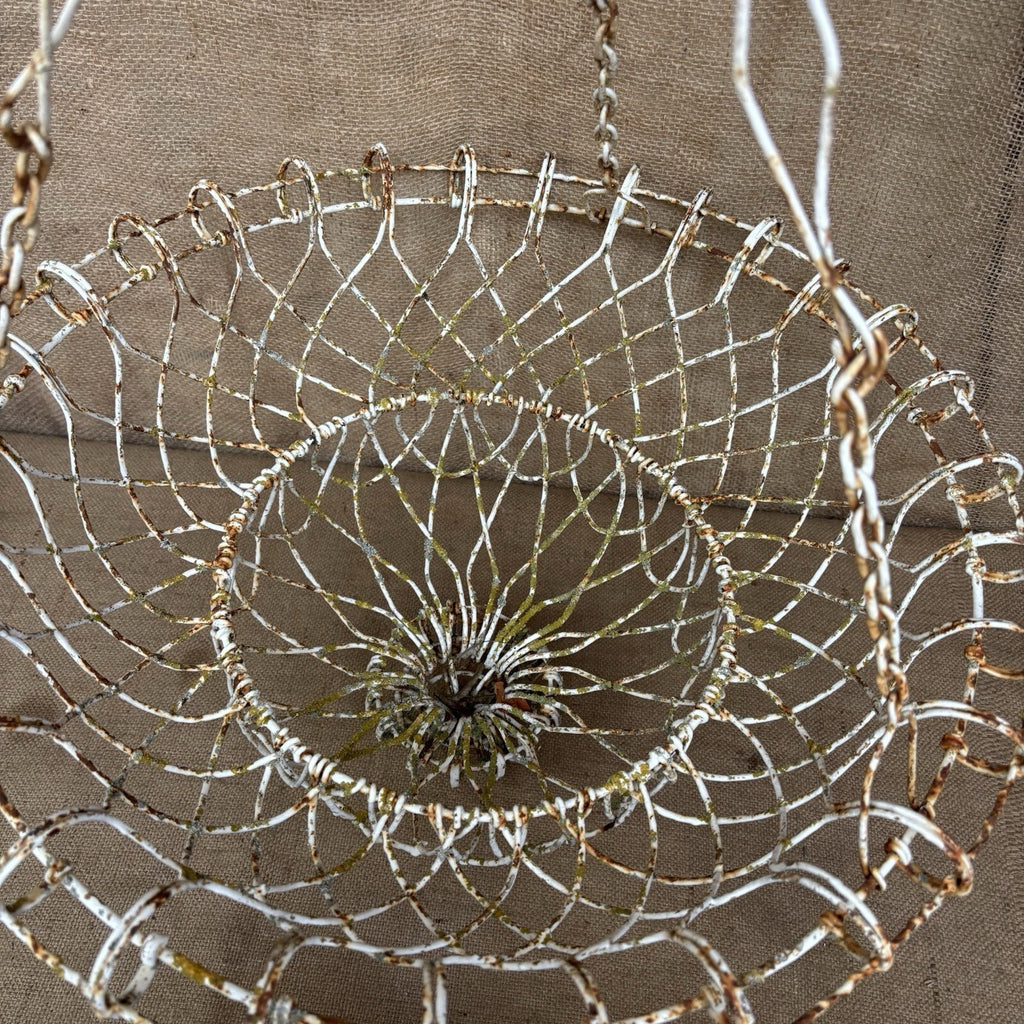Antique Wire Work Plant Holder / Hanging Basket / Large / Gardenalia