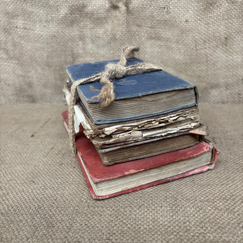 Vintage Book Bundle - Prop - Decoration - Farmhouse - Cottage Rustic Decor