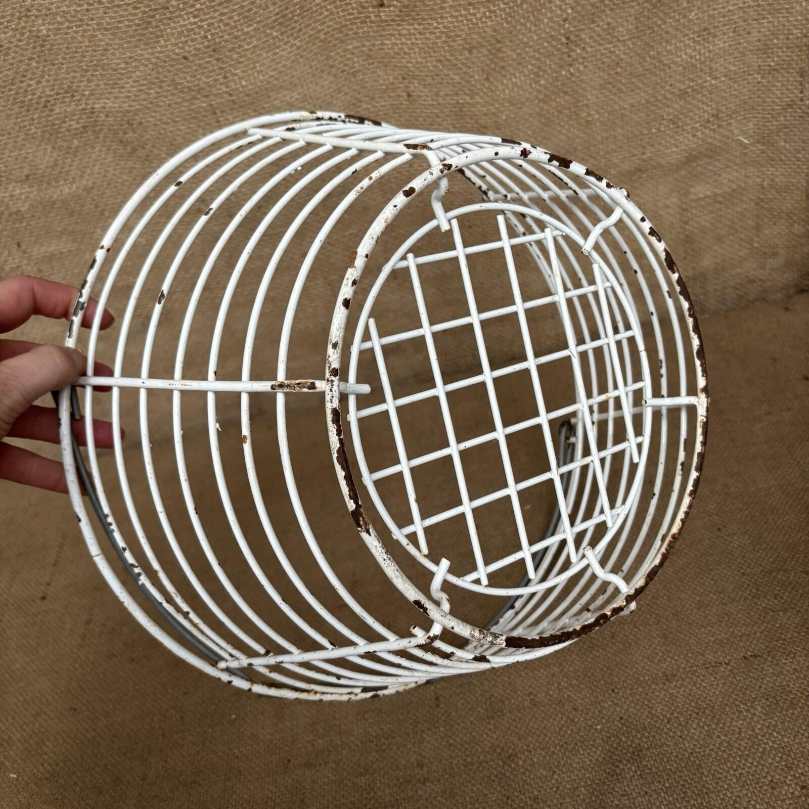 Wire Basket - White Worn Paint - Farmhouse Egg Basket - Cottage Garden - Vintage