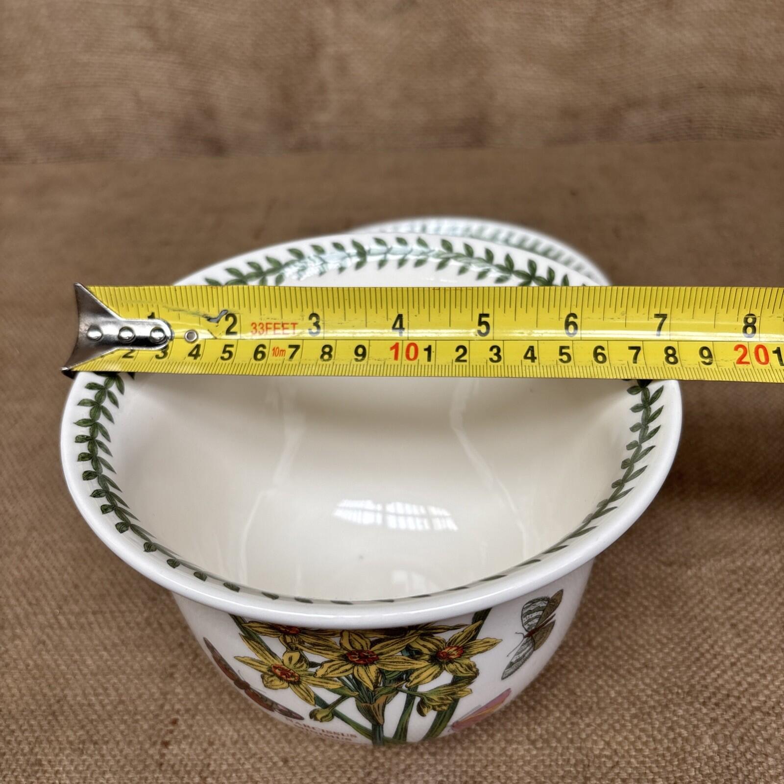 Portmeirion Plant Pot & Saucer Botanic Garden - Narcissus - Primula - Fushsia