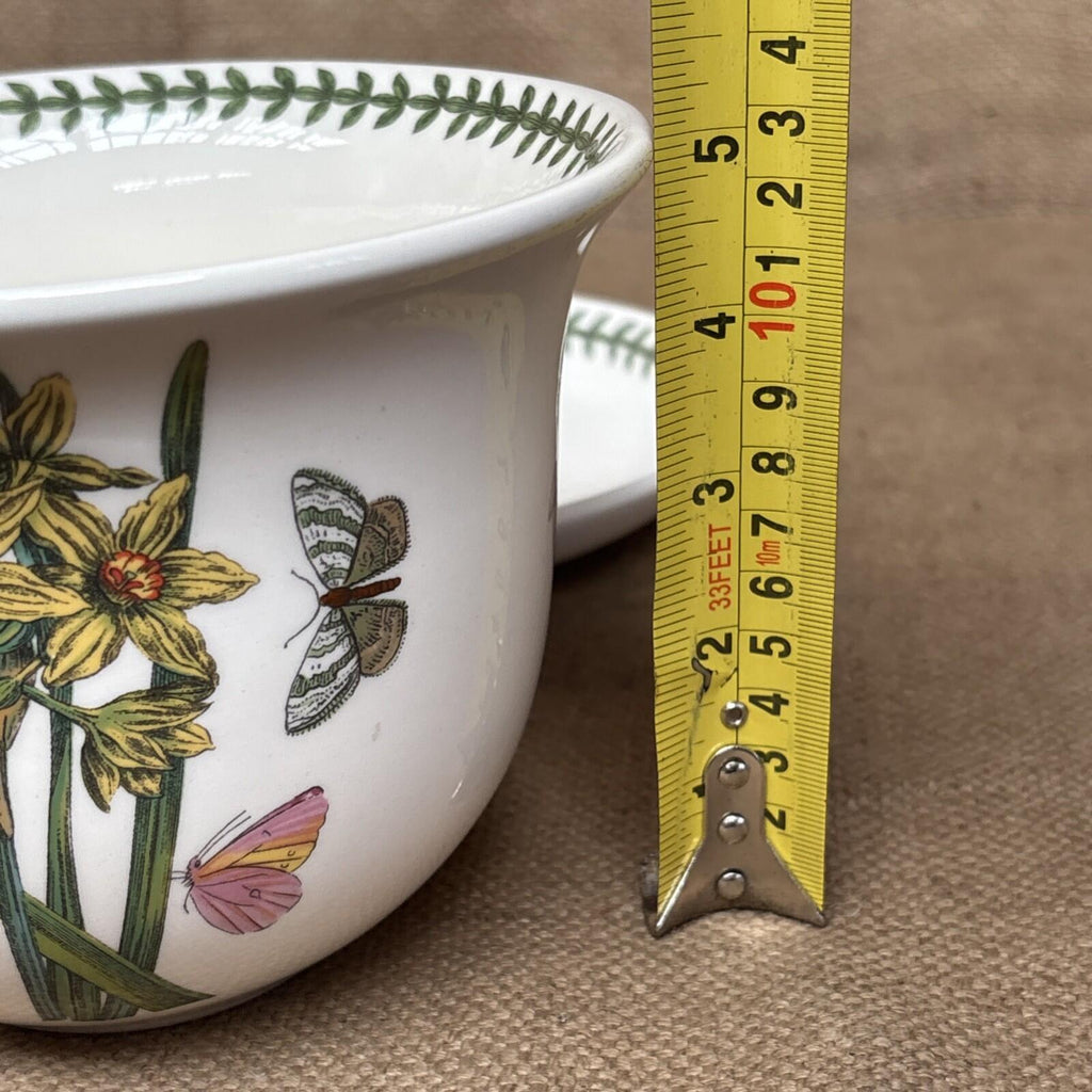 Portmeirion Plant Pot & Saucer Botanic Garden - Narcissus - Primula - Fushsia