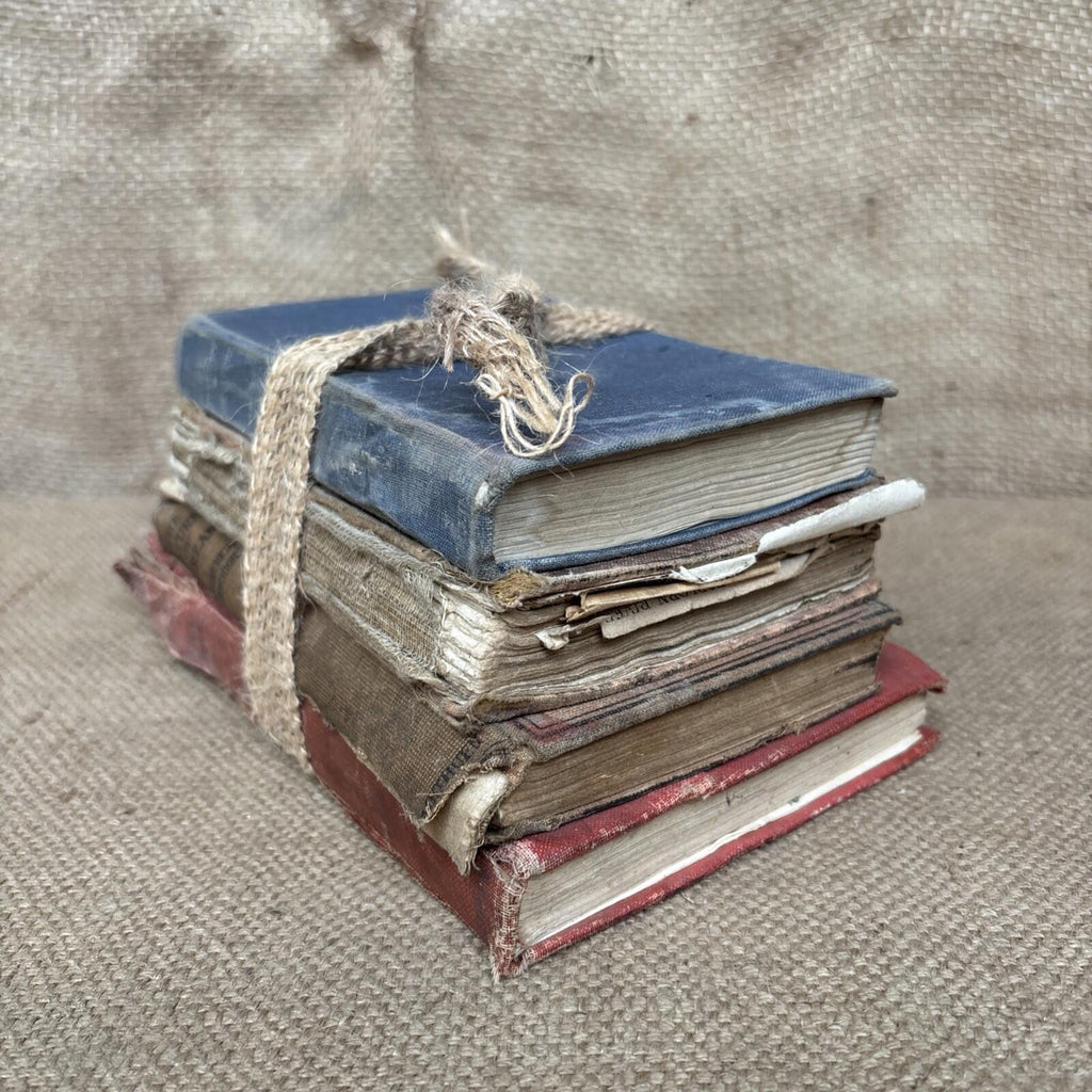 Vintage Book Bundle - Prop - Decoration - Farmhouse - Cottage Rustic Decor