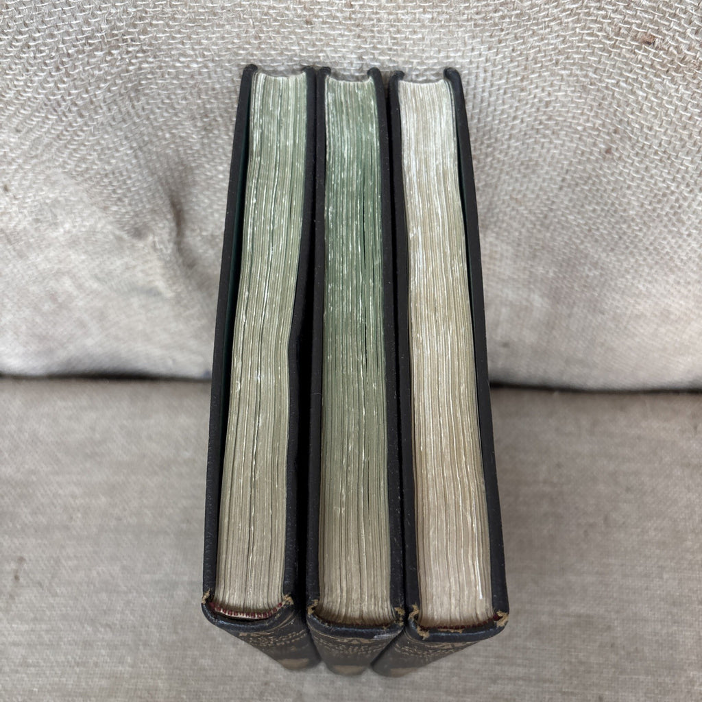 The Popular Encyclopedia Of Gardening. VOL 1, 2 & 3