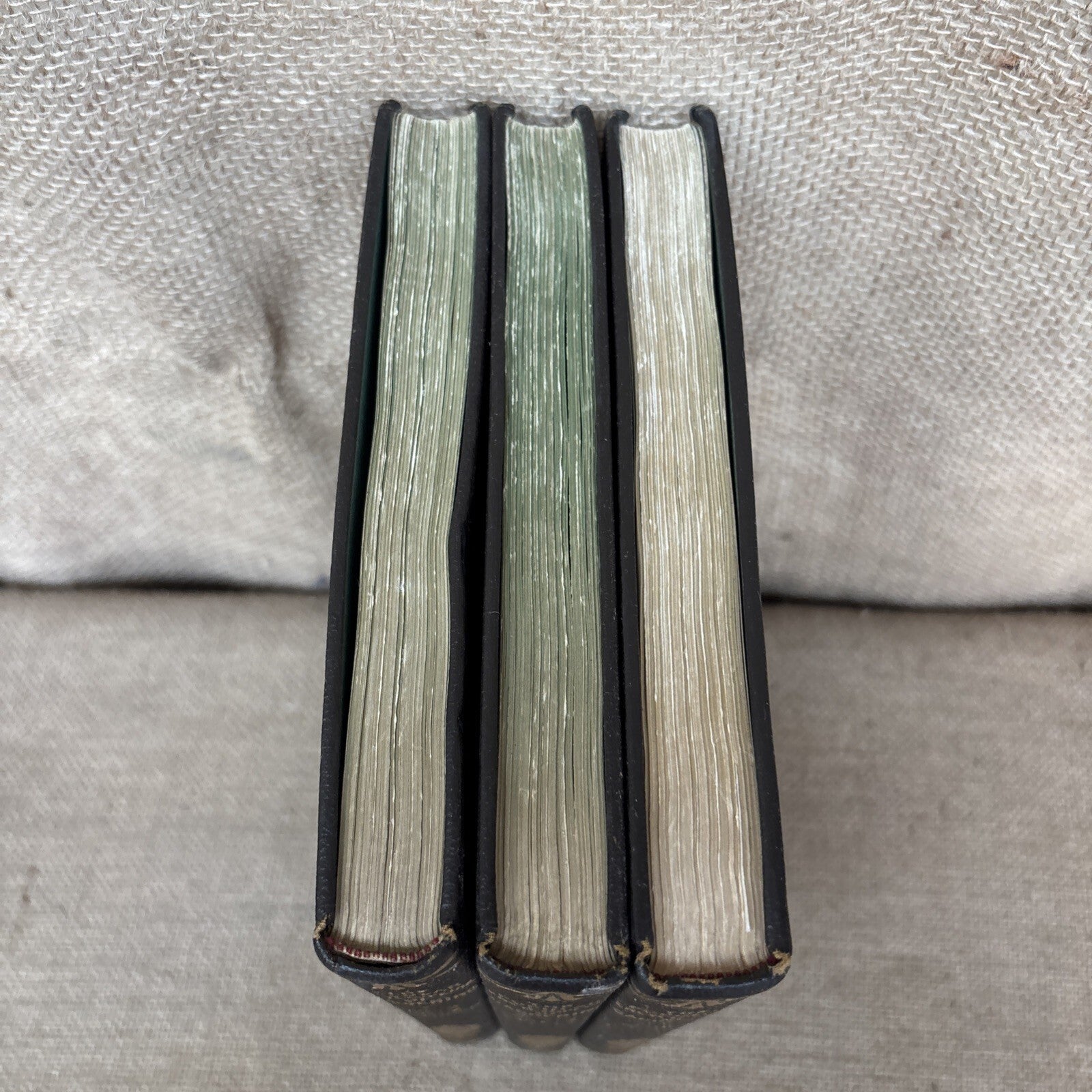 The Popular Encyclopedia Of Gardening. VOL 1, 2 & 3