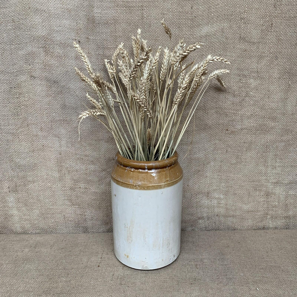 Vintage Large Stoneware Jar / Utensil Holder / Pickling Farmhouse Kitchen 28cm