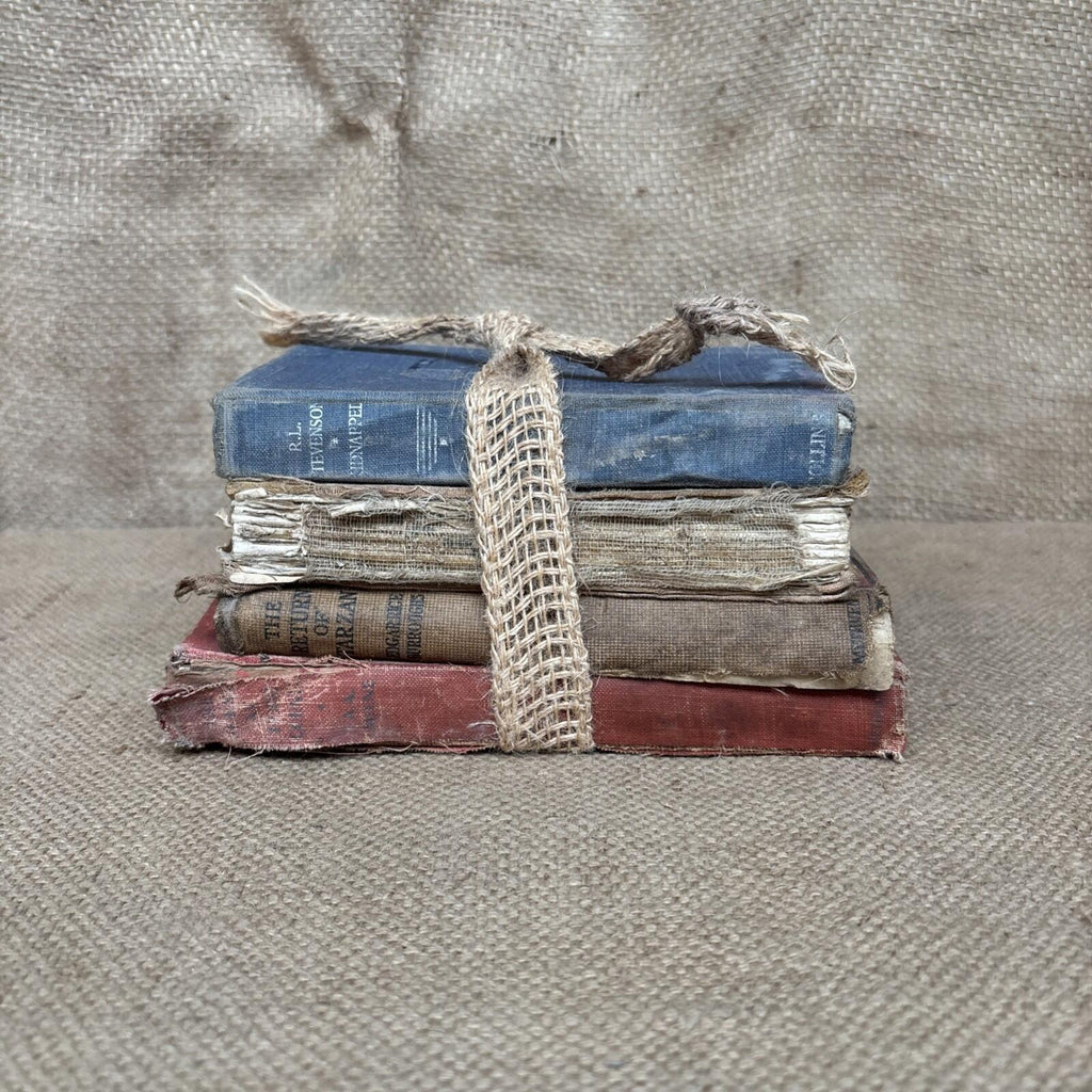 Vintage Book Bundle - Prop - Decoration - Farmhouse - Cottage Rustic Decor