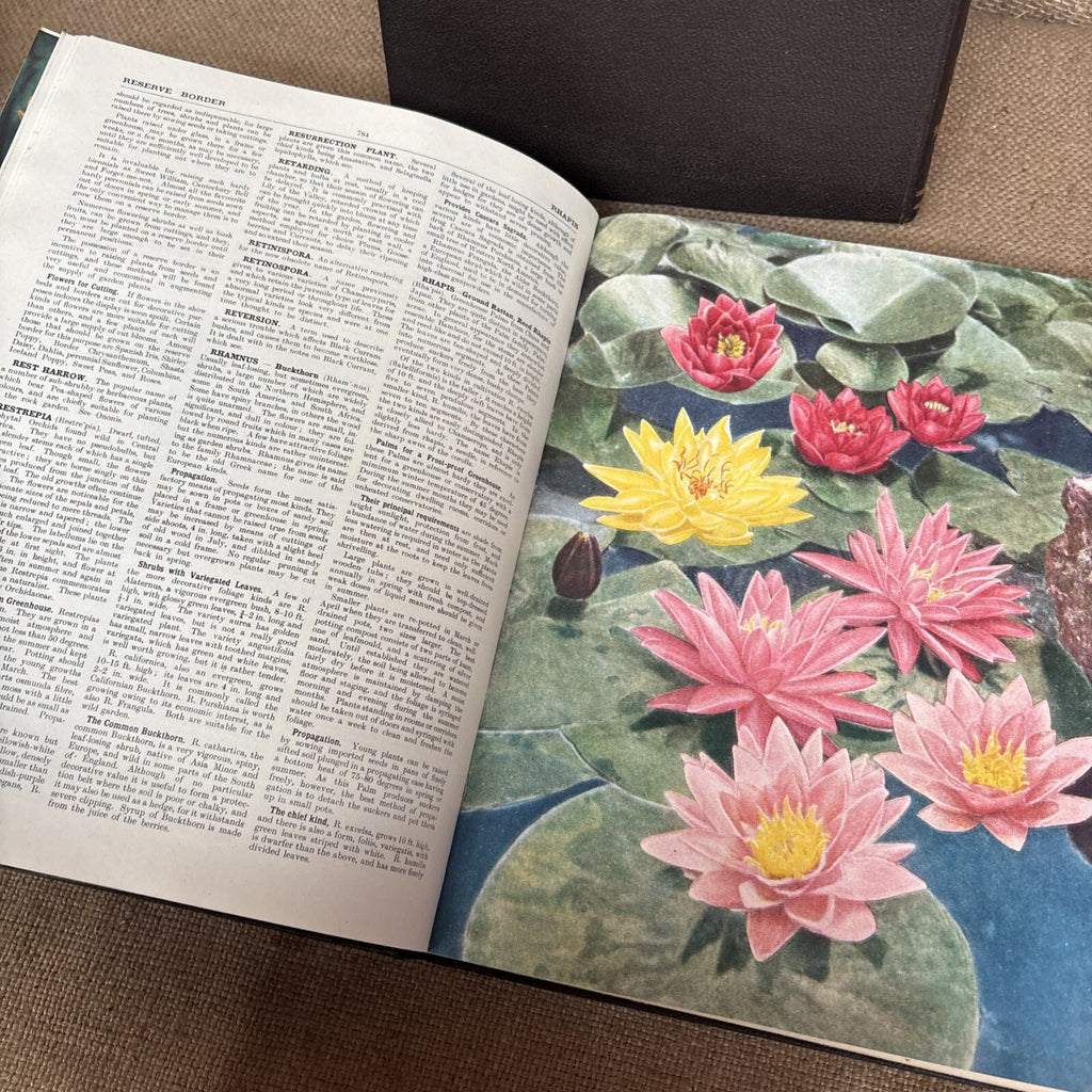 The Popular Encyclopedia Of Gardening. VOL 1, 2 & 3