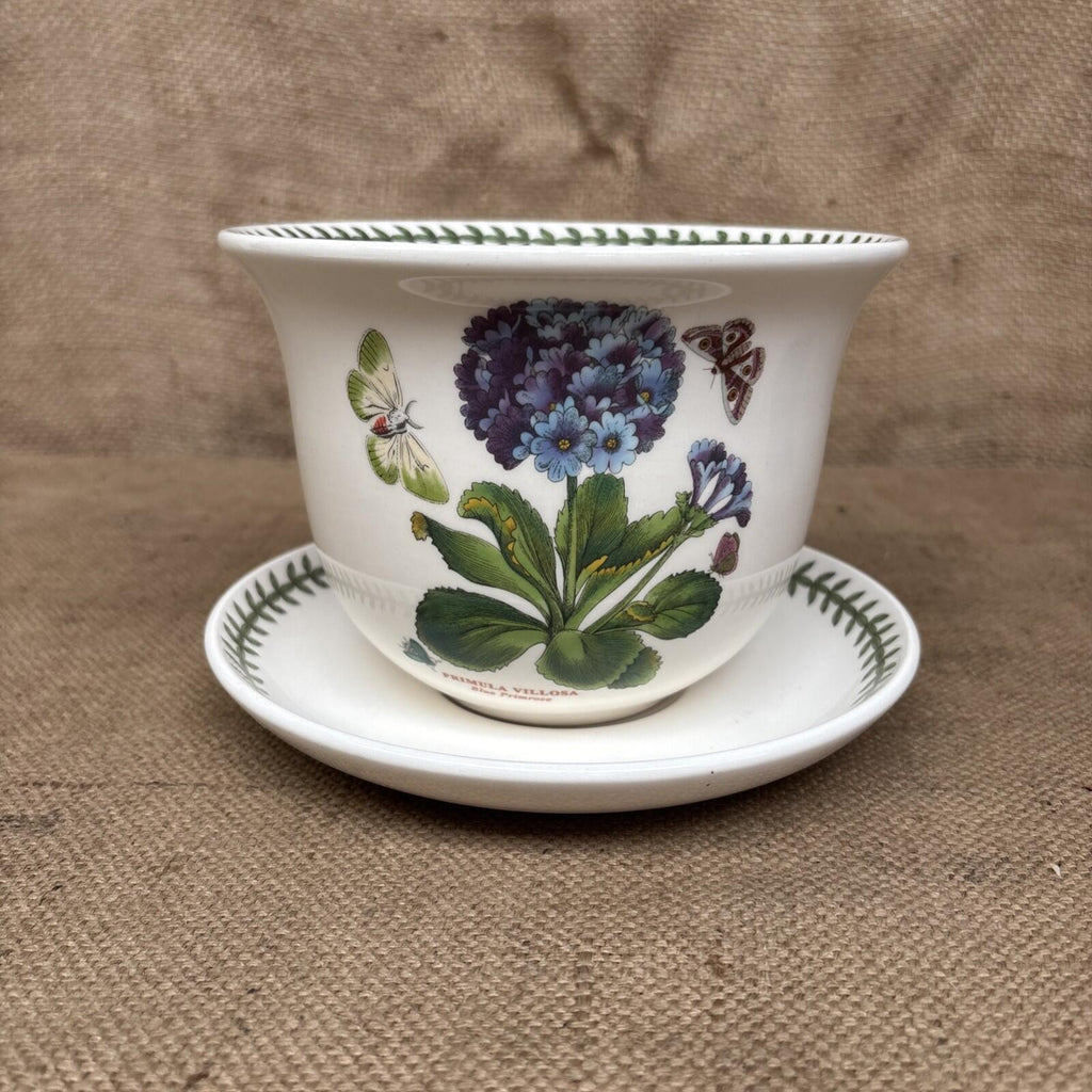 Portmeirion Plant Pot & Saucer Botanic Garden - Narcissus - Primula - Fushsia
