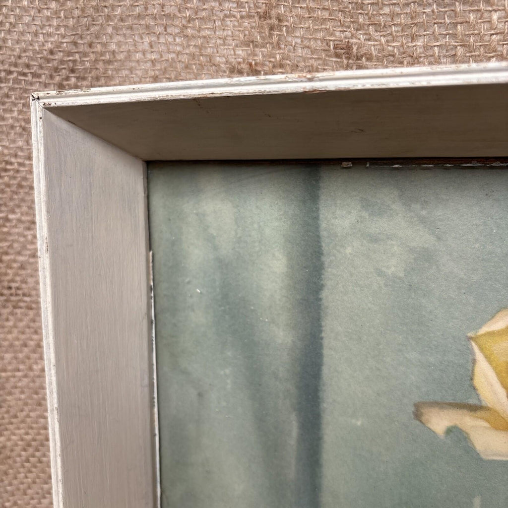 Vintage Framed Floral Print - Roses - E Byaff - June Fragrance
