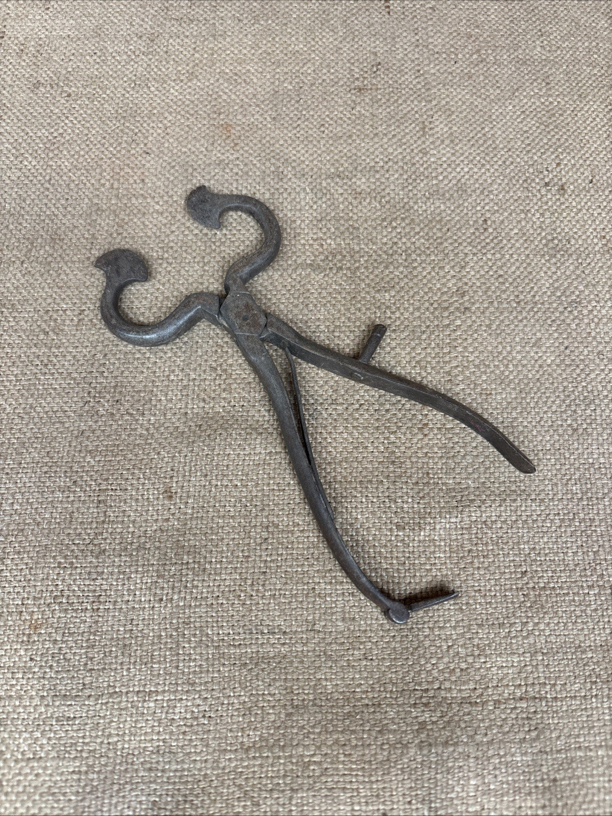 Antique Iron Tool Sugar Nips Cutters