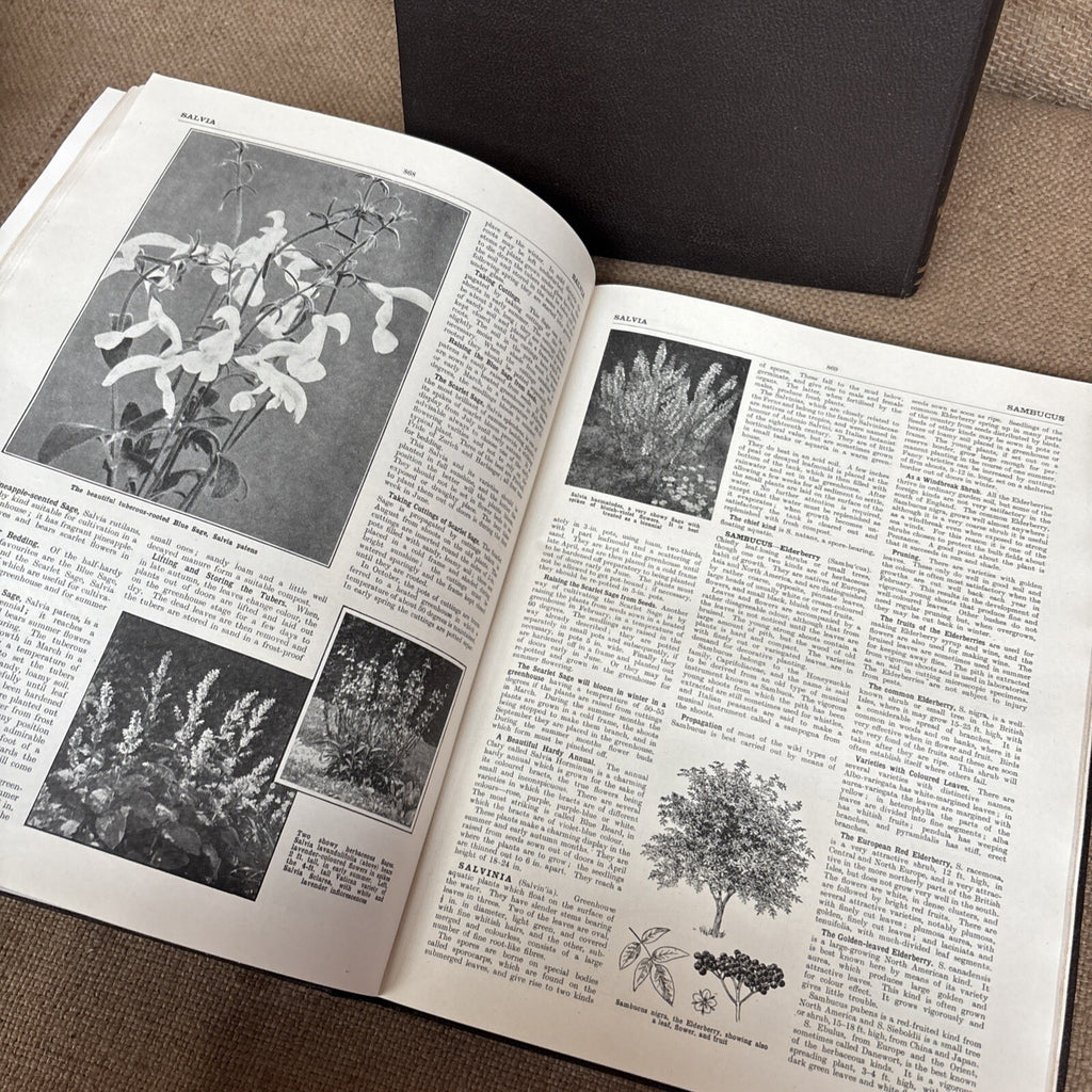 The Popular Encyclopedia Of Gardening. VOL 1, 2 & 3