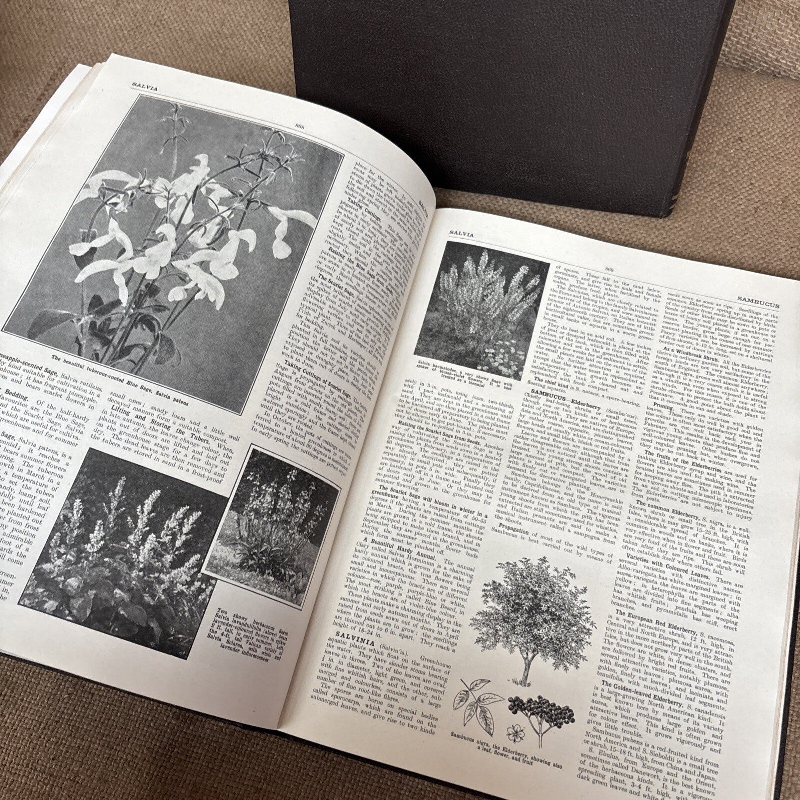 The Popular Encyclopedia Of Gardening. VOL 1, 2 & 3